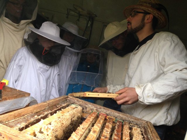 1. Praxisschulung: Frühjahrsdurchsicht